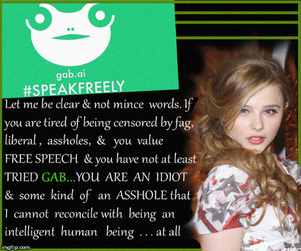 Sick of arbitrary, biased, Nazi Moderators ?...there is better out there---GAB | image tagged in gab,censorship,moderators,politics,current events,memes | made w/ Imgflip meme maker