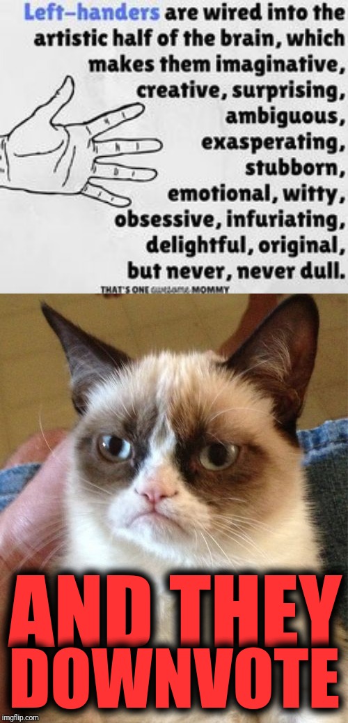 AND THEY DOWNVOTE | image tagged in memes,grumpy cat | made w/ Imgflip meme maker