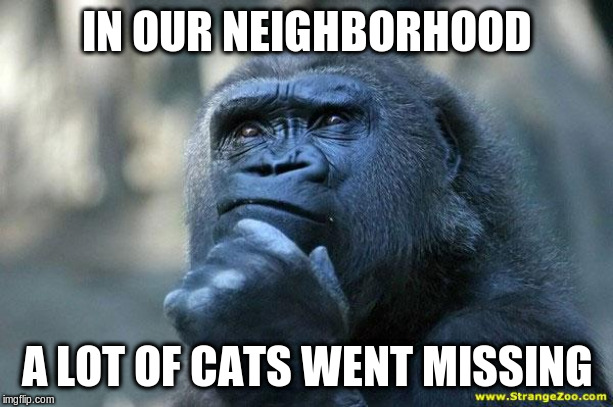 Deep Thoughts | IN OUR NEIGHBORHOOD A LOT OF CATS WENT MISSING | image tagged in deep thoughts | made w/ Imgflip meme maker