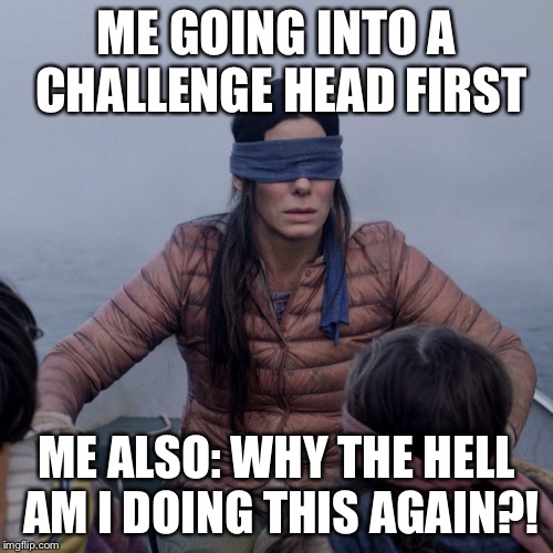 Bird Box | ME GOING INTO A CHALLENGE HEAD FIRST; ME ALSO: WHY THE HELL AM I DOING THIS AGAIN?! | image tagged in memes,bird box,fun,repost | made w/ Imgflip meme maker