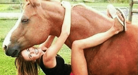 High Quality you're such a perv! (horse) Blank Meme Template