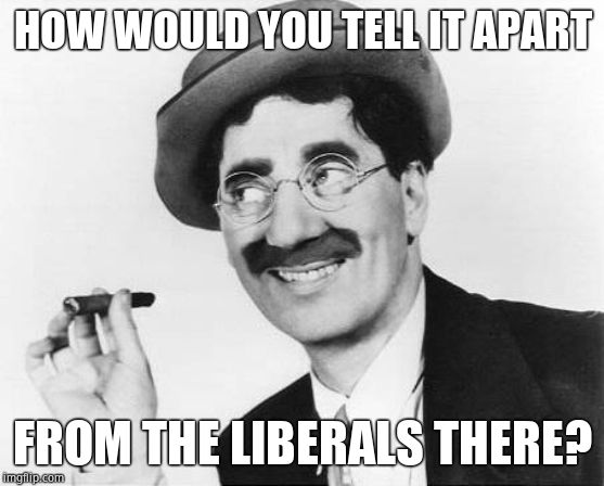 Groucho Marx | HOW WOULD YOU TELL IT APART FROM THE LIBERALS THERE? | image tagged in groucho marx | made w/ Imgflip meme maker