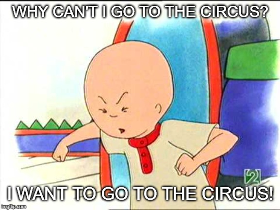Angry caillou | WHY CAN'T I GO TO THE CIRCUS? I WANT TO GO TO THE CIRCUS! | image tagged in angry caillou | made w/ Imgflip meme maker