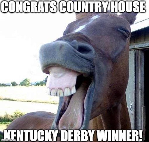 Im ready for my winner circle photo... | CONGRATS COUNTRY HOUSE; KENTUCKY DERBY WINNER! | image tagged in horse | made w/ Imgflip meme maker