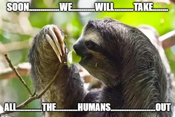 We will conquer the world......eventually | SOON................WE............WILL..........TAKE........ ALL..............THE............HUMANS.........................OUT | image tagged in sloth | made w/ Imgflip meme maker