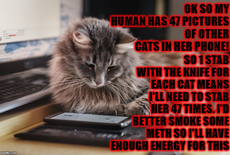 STAB WOUNDS | OK SO MY HUMAN HAS 47 PICTURES OF OTHER CATS IN HER PHONE! SO 1 STAB WITH THE KNIFE FOR EACH CAT MEANS I'LL NEED TO STAB HER 47 TIMES. I'D BETTER SMOKE SOME METH SO I'LL HAVE ENOUGH ENERGY FOR THIS | image tagged in stab wounds | made w/ Imgflip meme maker
