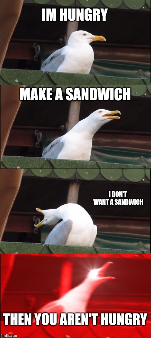 Inhaling Seagull | IM HUNGRY; MAKE A SANDWICH; I DON'T WANT A SANDWICH; THEN YOU AREN'T HUNGRY | image tagged in memes,inhaling seagull | made w/ Imgflip meme maker