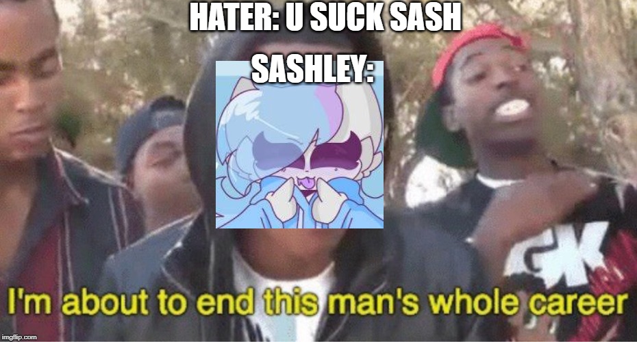 im bored and wanted to post something on dat stream | HATER: U SUCK SASH; SASHLEY: | image tagged in furries,im about to end this mans whole career | made w/ Imgflip meme maker
