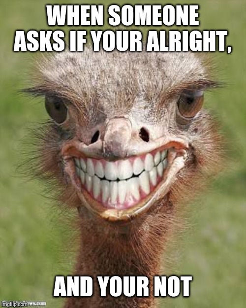Happy Ostrich week | WHEN SOMEONE ASKS IF YOUR ALRIGHT, AND YOUR NOT | image tagged in teeth ostrich emu funny smile,ostrichweek | made w/ Imgflip meme maker