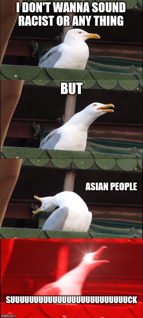 Inhaling Seagull | I DON'T WANNA SOUND RACIST OR ANY THING; BUT; ASIAN PEOPLE; SUUUUUUUUUUUUUUUUUUUUUUUUUCK | image tagged in memes,inhaling seagull | made w/ Imgflip meme maker
