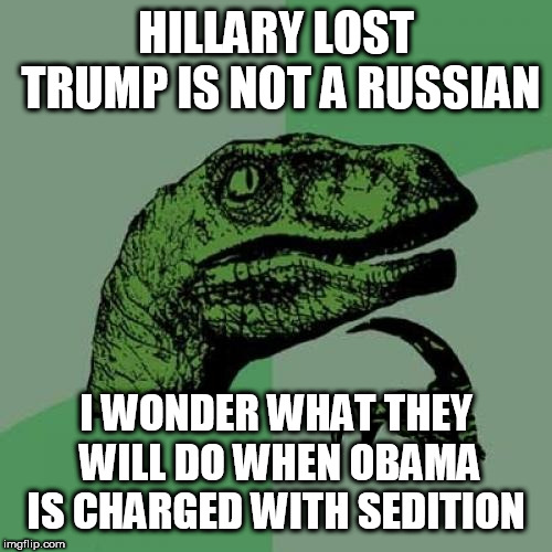 Philosoraptor | HILLARY LOST TRUMP IS NOT A RUSSIAN; I WONDER WHAT THEY WILL DO WHEN OBAMA IS CHARGED WITH SEDITION | image tagged in memes,philosoraptor | made w/ Imgflip meme maker