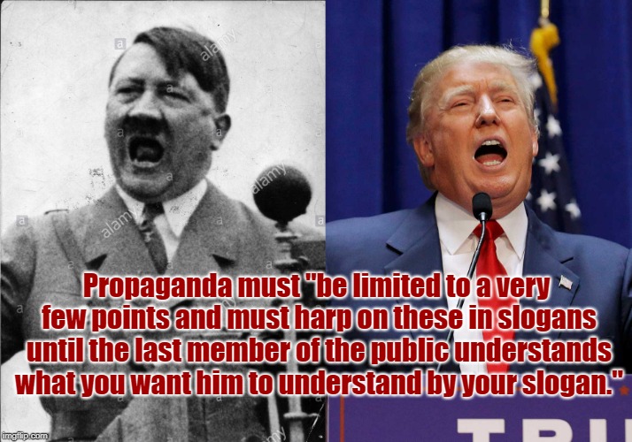 Propaganda must "be limited to a very few points and must harp on these in slogans until the last member of the public understands what you want him to understand by your slogan." | image tagged in hitler | made w/ Imgflip meme maker