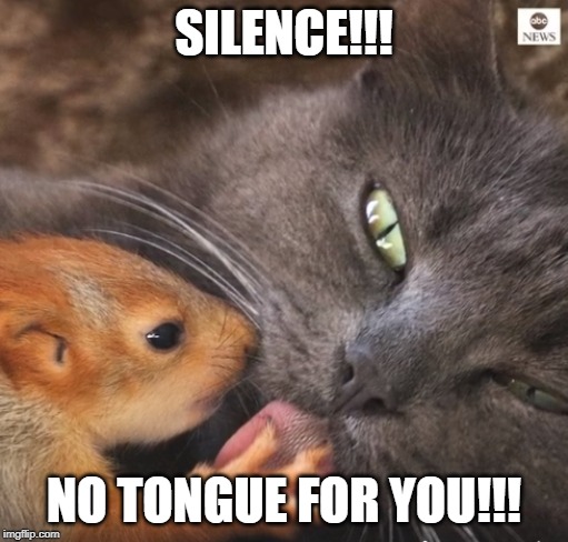 know when to be silent | SILENCE!!! NO TONGUE FOR YOU!!! | image tagged in cat and squirrel,achmed the dead terrorist | made w/ Imgflip meme maker