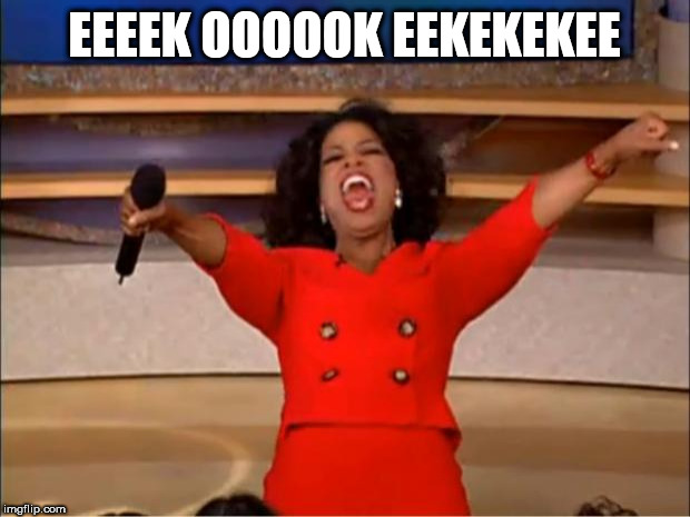 Oprah You Get A Meme | EEEEK OOOOOK EEKEKEKEE | image tagged in memes,oprah you get a | made w/ Imgflip meme maker
