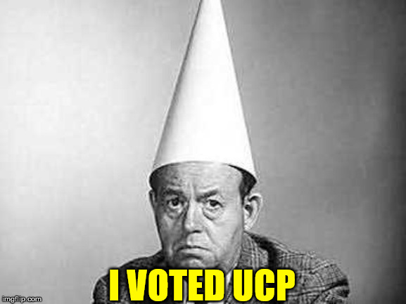 IDIOT UCP VOTER | I VOTED UCP | image tagged in idiots,alberta,conservative,politics | made w/ Imgflip meme maker
