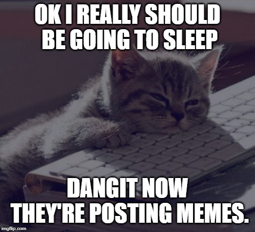 OK I REALLY SHOULD BE GOING TO SLEEP; DANGIT NOW THEY'RE POSTING MEMES. | image tagged in cats,keyboard,bored keyboard cat | made w/ Imgflip meme maker
