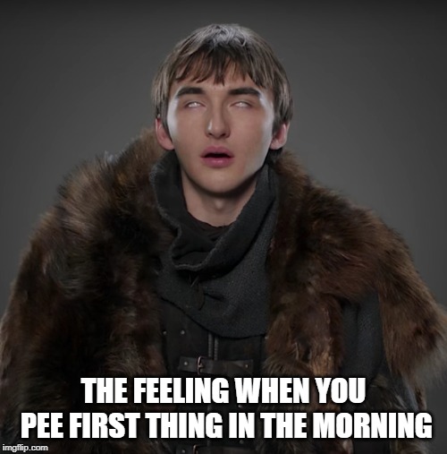 Morning pee | THE FEELING WHEN YOU PEE FIRST THING IN THE MORNING | image tagged in morning,pee,bathroom,piss,game of thrones,got | made w/ Imgflip meme maker