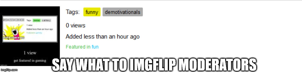 SAY WHAT TO IMGFLIP MODERATORS | image tagged in memes,imgflip | made w/ Imgflip meme maker