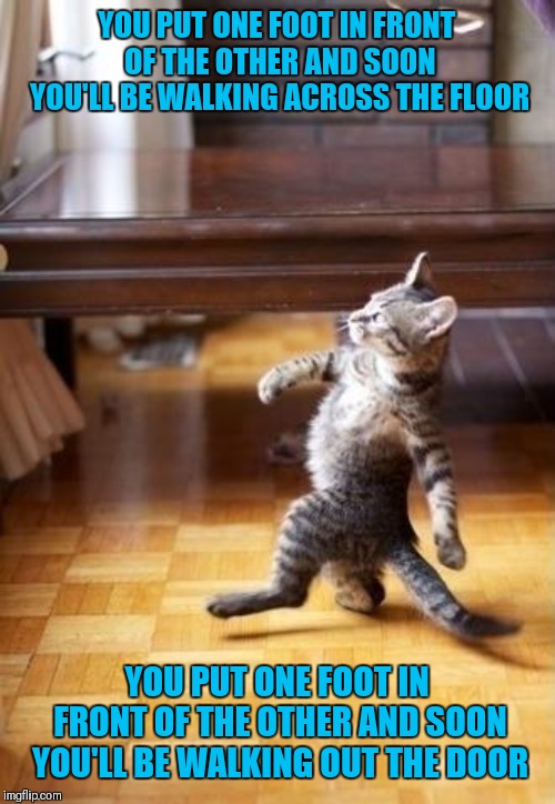 Old song lyrics | YOU PUT ONE FOOT IN FRONT OF THE OTHER AND SOON YOU'LL BE WALKING ACROSS THE FLOOR; YOU PUT ONE FOOT IN FRONT OF THE OTHER AND SOON YOU'LL BE WALKING OUT THE DOOR | image tagged in memes,cool cat stroll,song lyrics | made w/ Imgflip meme maker