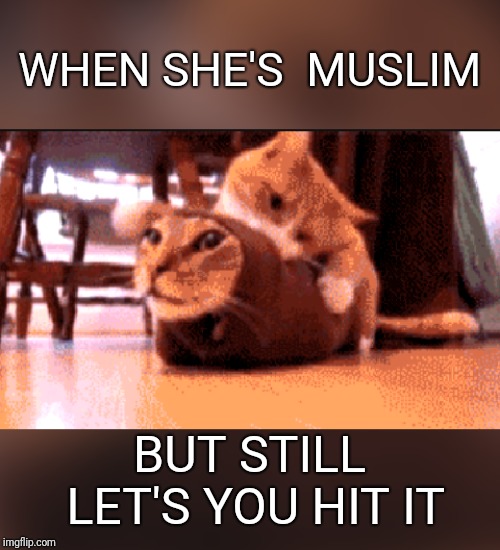 Muslim Kitty | WHEN SHE'S 
MUSLIM; BUT STILL LET'S YOU HIT IT | image tagged in burrito your enemies,muslim,cats,funny cats,burrito,kitty | made w/ Imgflip meme maker