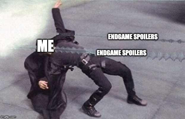 neo dodging a bullet matrix | ENDGAME SPOILERS; ME; ENDGAME SPOILERS | image tagged in neo dodging a bullet matrix | made w/ Imgflip meme maker