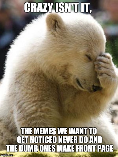 Facepalm Bear Meme | CRAZY ISN'T IT, THE MEMES WE WANT TO GET NOTICED NEVER DO AND THE DUMB ONES MAKE FRONT PAGE | image tagged in memes,facepalm bear | made w/ Imgflip meme maker