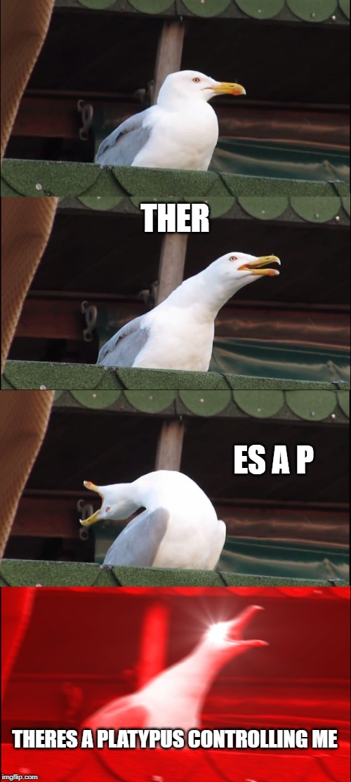 THER ES A P THERES A PLATYPUS CONTROLLING ME | image tagged in memes,inhaling seagull | made w/ Imgflip meme maker