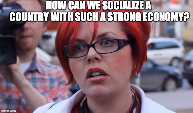 Angry Feminist | HOW CAN WE SOCIALIZE A COUNTRY WITH SUCH A STRONG ECONOMY? | image tagged in angry feminist | made w/ Imgflip meme maker