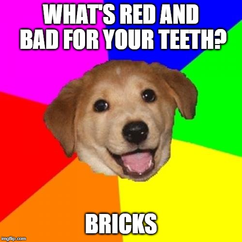 Advice Dog Meme | WHAT'S RED AND BAD FOR YOUR TEETH? BRICKS | image tagged in memes,advice dog | made w/ Imgflip meme maker
