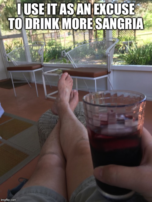I USE IT AS AN EXCUSE TO DRINK MORE SANGRIA | made w/ Imgflip meme maker