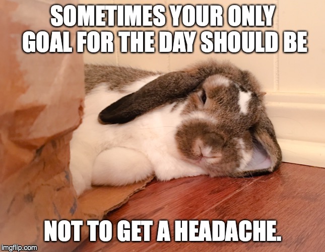 Avoid Headaches | image tagged in bunnies,rabbits,animals,relax,headaches | made w/ Imgflip meme maker