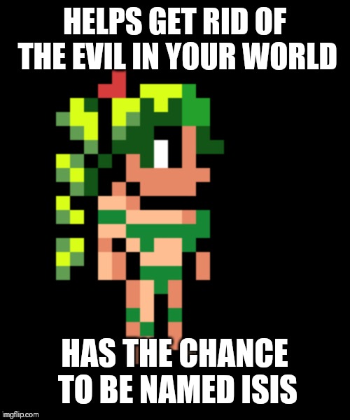Terraria Dyrad | HELPS GET RID OF THE EVIL IN YOUR WORLD; HAS THE CHANCE TO BE NAMED ISIS | image tagged in terraria dyrad | made w/ Imgflip meme maker