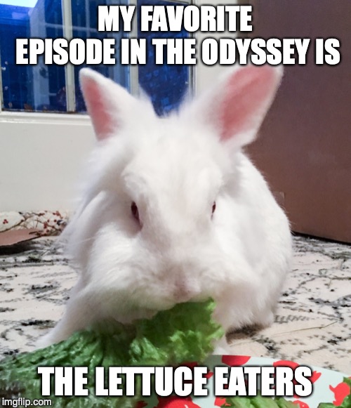 A Bunny’s Odyssey | MY FAVORITE EPISODE IN THE ODYSSEY IS; THE LETTUCE EATERS | image tagged in animals,rabbits,bunnies,literature,classical,homer | made w/ Imgflip meme maker