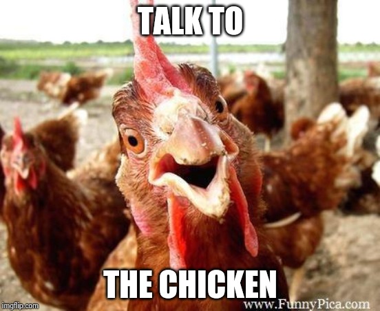 Chicken | TALK TO THE CHICKEN | image tagged in chicken | made w/ Imgflip meme maker