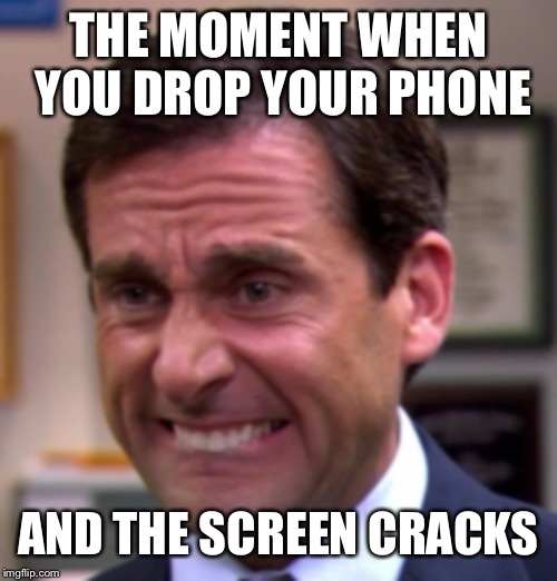 THE MOMENT WHEN YOU DROP YOUR PHONE; AND THE SCREEN CRACKS | image tagged in michaelscott,prisonmike | made w/ Imgflip meme maker
