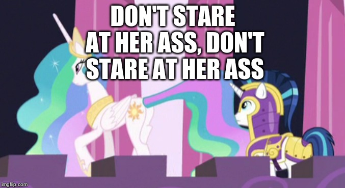 Sweet Ass | DON'T STARE AT HER ASS, DON'T STARE AT HER ASS | image tagged in mlp,ass | made w/ Imgflip meme maker