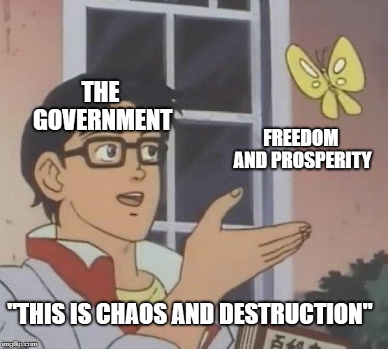 Anarchy. | THE GOVERNMENT; FREEDOM AND PROSPERITY; "THIS IS CHAOS AND DESTRUCTION" | image tagged in memes,is this a pigeon,anarchy,ancap | made w/ Imgflip meme maker