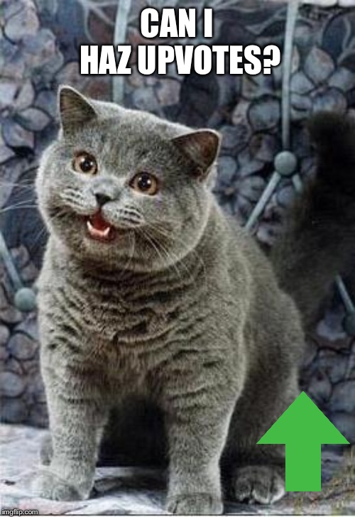 I can has cheezburger cat | CAN I HAZ UPVOTES? | image tagged in i can has cheezburger cat | made w/ Imgflip meme maker