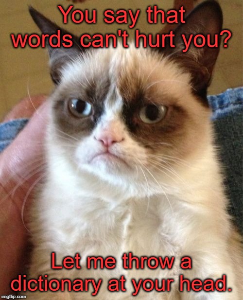 Grumpy Cat Meme | You say that words can't hurt you? Let me throw a dictionary at your head. | image tagged in memes,grumpy cat | made w/ Imgflip meme maker