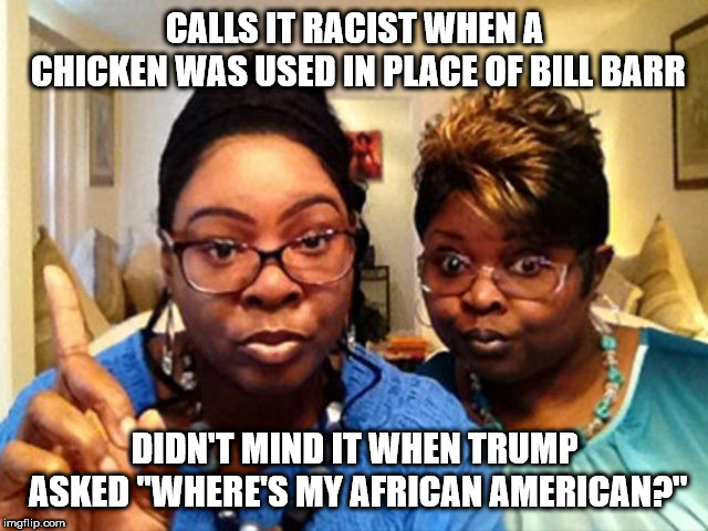 Diamond and Silk | CALLS IT RACIST WHEN A CHICKEN WAS USED IN PLACE OF BILL BARR; DIDN'T MIND IT WHEN TRUMP ASKED "WHERE'S MY AFRICAN AMERICAN?" | image tagged in diamond and silk | made w/ Imgflip meme maker