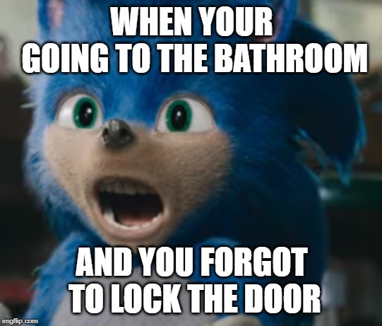 Sonic 2019 Face | WHEN YOUR GOING TO THE BATHROOM; AND YOU FORGOT TO LOCK THE DOOR | image tagged in sonic 2019 face | made w/ Imgflip meme maker