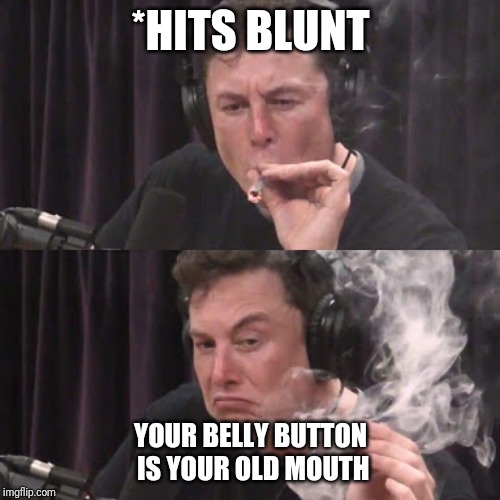 Elon Musk, high as space | *HITS BLUNT; YOUR BELLY BUTTON IS YOUR OLD MOUTH | image tagged in elon musk high as space | made w/ Imgflip meme maker