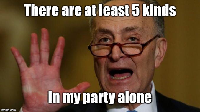 Chuck Schumer | There are at least 5 kinds in my party alone | image tagged in chuck schumer | made w/ Imgflip meme maker