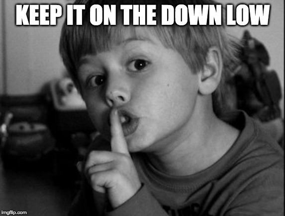 Shhhh | KEEP IT ON THE DOWN LOW | image tagged in shhhh | made w/ Imgflip meme maker