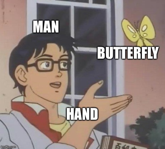 Is this a pigeon literal | MAN; BUTTERFLY; HAND | image tagged in memes,is this a pigeon,literally | made w/ Imgflip meme maker