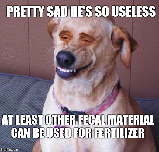 Dog smile | AT LEAST OTHER FECAL MATERIAL CAN BE USED FOR FERTILIZER PRETTY SAD HE'S SO USELESS | image tagged in dog smile | made w/ Imgflip meme maker