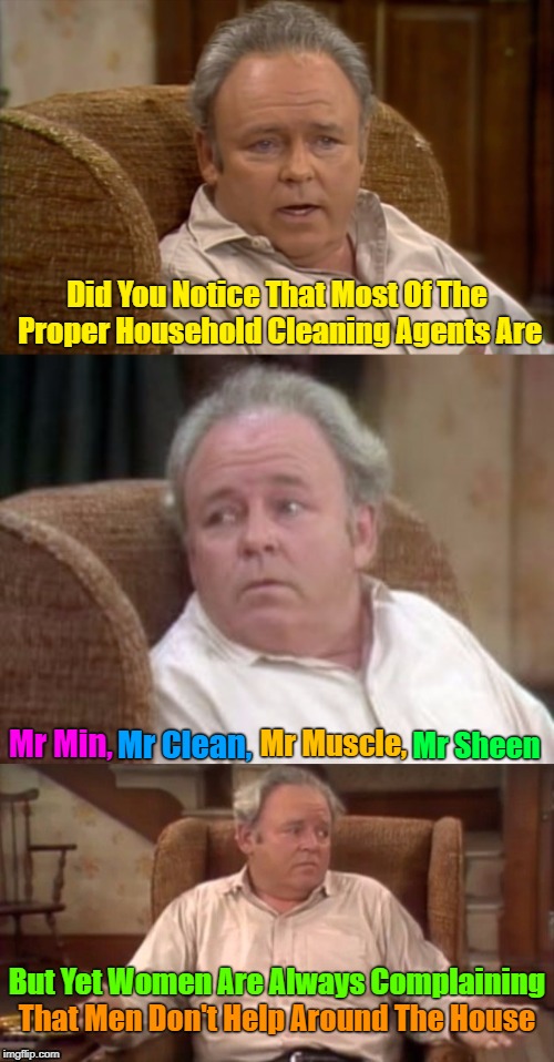 They Weren't Specific |  Did You Notice That Most Of The Proper Household Cleaning Agents Are; Mr Sheen; Mr Muscle, Mr Min, Mr Clean, But Yet Women Are Always Complaining; That Men Don't Help Around The House | image tagged in bad pun archie bunker,memes,men and women,housework,chores,husband wife | made w/ Imgflip meme maker