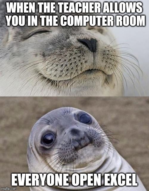 Short Satisfaction VS Truth | WHEN THE TEACHER ALLOWS YOU IN THE COMPUTER ROOM; EVERYONE OPEN EXCEL | image tagged in memes,short satisfaction vs truth | made w/ Imgflip meme maker
