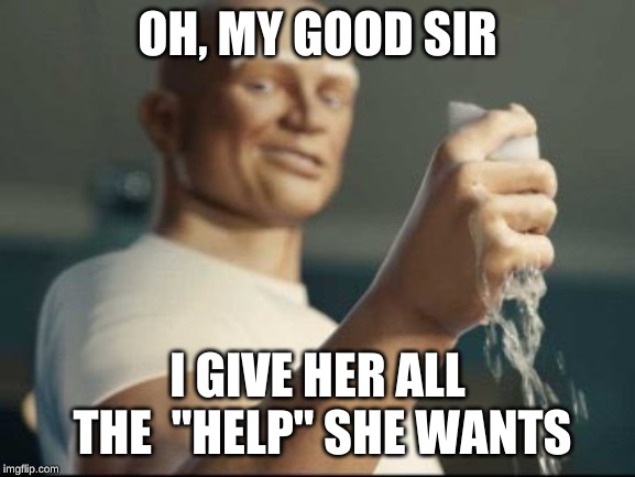 Mr Clean panties | OH, MY GOOD SIR I GIVE HER ALL THE  "HELP" SHE WANTS | image tagged in mr clean panties | made w/ Imgflip meme maker