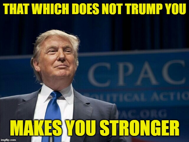 Strength Trumps Weakness | THAT WHICH DOES NOT TRUMP YOU; MAKES YOU STRONGER | image tagged in smirking donald trump,nietzsche,inspirational quotes,mashup,donald trump memes,strength | made w/ Imgflip meme maker